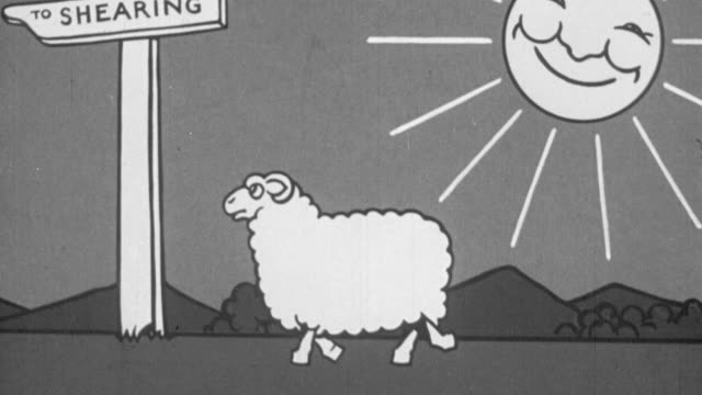 108 Sheep Cartoon Images Videos and HD Footage - Getty Images