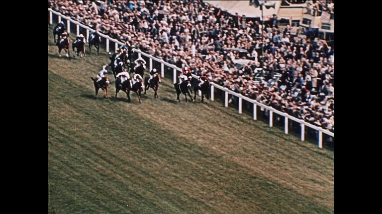 Early Racing Line Horse Race Start Line Videos and HD Footage - Getty Images