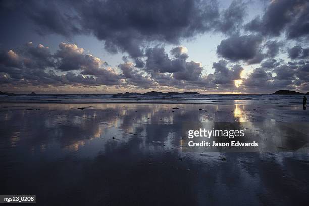 storm clouds over tidal flat with reflection. - reflection foto e immagini stock