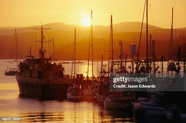 eden, new south wales, australia. yachts moored at a pier at sunset. - nautical structure stock pictures, royalty-free photos & images