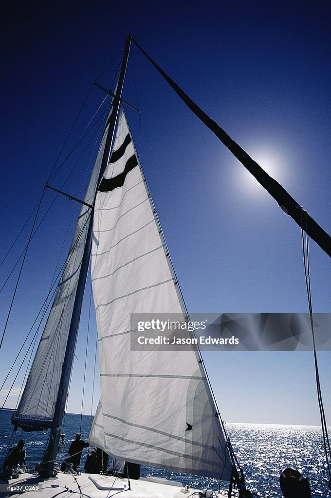 Shark Bay, Western Australia. A tourist catamaran on Shark Bay in the afternoon.