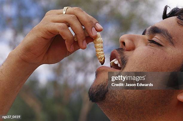 alice springs desert park, northern territory, australia. an aboriginal guide eats a witchetty grub. - alice springs desert park - fotografias e filmes do acervo