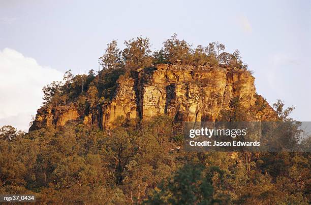carnarvon national park, queensland, australia. sandstone escarpment in the consuelo tableland. - escarpment stock pictures, royalty-free photos & images