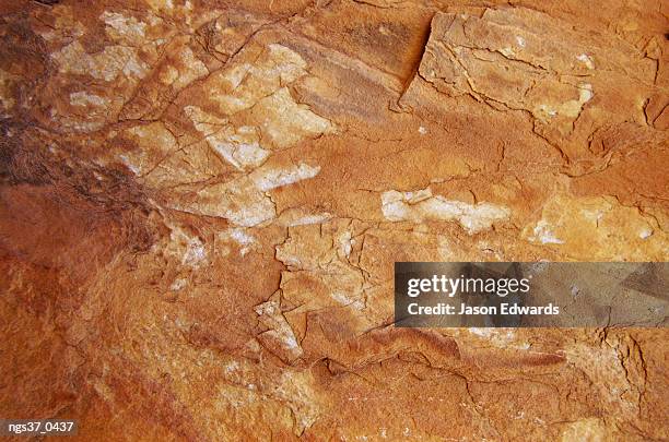 stanley chasm, northern territory, australia. sandstone rock face detail. - northern rock stock-fotos und bilder