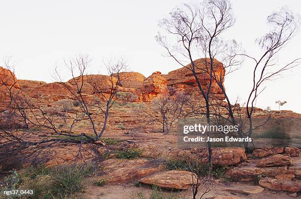 watarrka national park, northern territory, australia. beehive-like rock formations at sunset at the lost city site. - northern rock stock-fotos und bilder