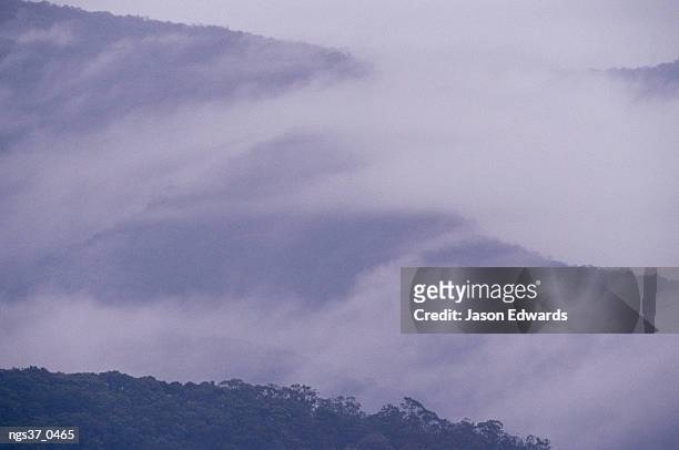 eildon state forest, victoria, australia. storm clouds and mist rolling over rugged forested mountains. - state stockfoto's en -beelden