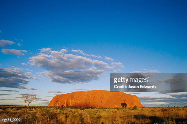 uluru national park, northern territory, australia. a view of ayers rock. - エアーズロック ストックフォトと画像