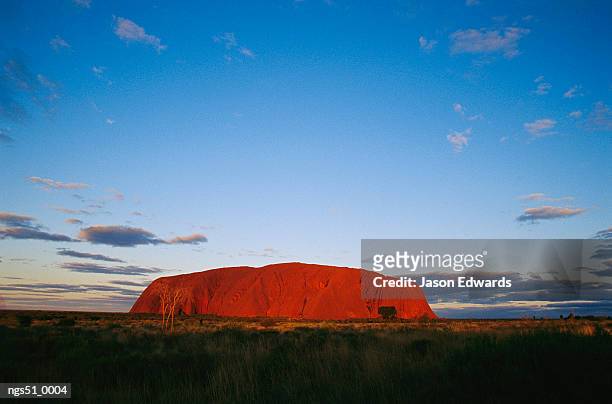uluru national park, northern territory, australia. a view of ayers rock under a twilight sky. - northern rock stockfoto's en -beelden