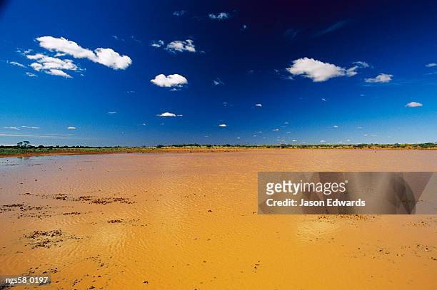 witjira national park, south australia. flooded desert plain in witjira national park. - academy of motion picture arts and sciences special screening and discussion of shirley clarkes portrait of jason stockfoto's en -beelden