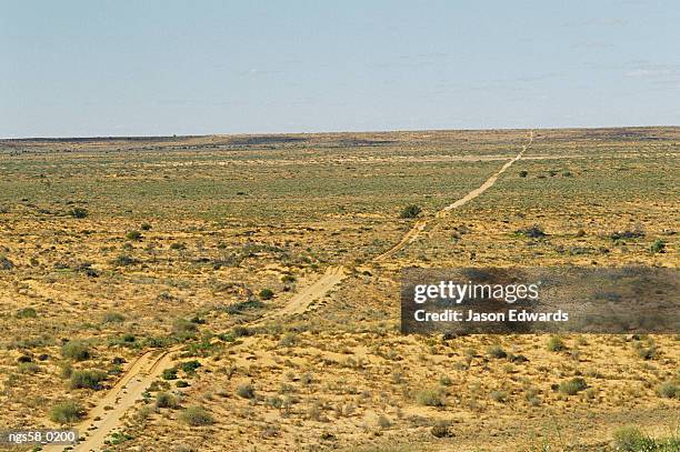 simpson desert conservation park, south australia. vehicular tracks over sand dunes in remote harsh outback. - simpson desert stock-fotos und bilder