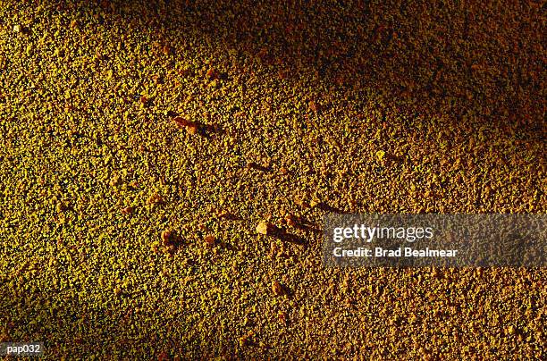 yellow-green background - curry powder stock illustrations