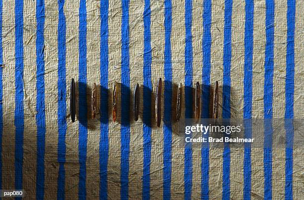 seeds on blue striped background - brad stockfoto's en -beelden