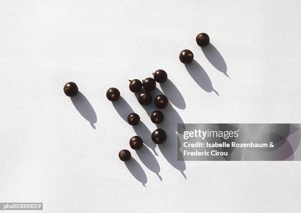 blackcurrants against white background - black currant stockfoto's en -beelden