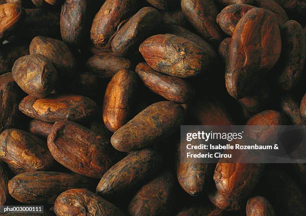 fresh cacao beans, close-up - cacao bean stock pictures, royalty-free photos & images