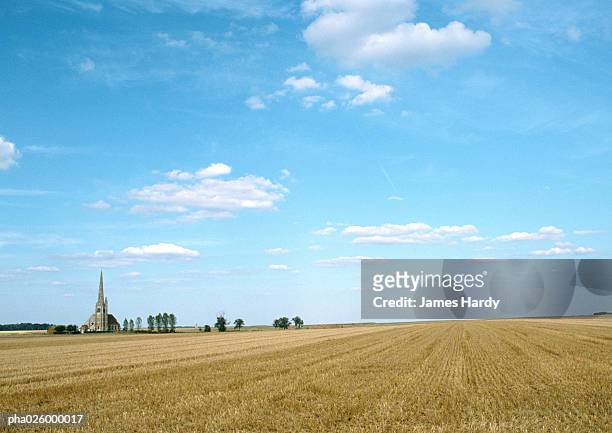 france, picardy, field with trees and church in background. - hauts de france fotografías e imágenes de stock