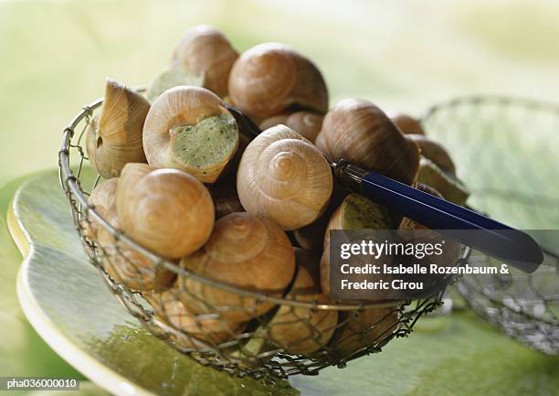 bowl of escargot, close-up - essbare weinbergschnecke stock-fotos und bilder