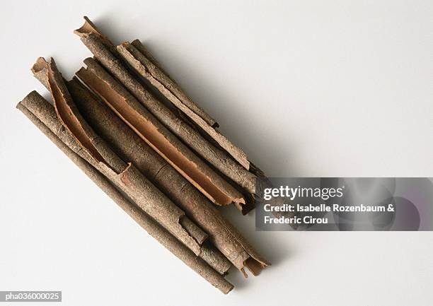 cinnamon sticks lined up, close-up, white background - pflanzliche verfassung stock-fotos und bilder