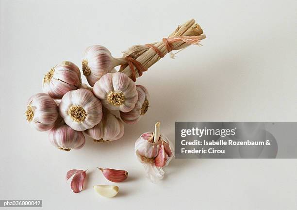 bunch of garlic bulbs and garlic cloves, white background - garlic clove stock pictures, royalty-free photos & images