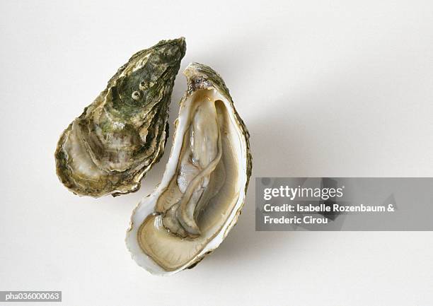 oyster shell and oyster open oyster half, close-up - bivalve stock pictures, royalty-free photos & images