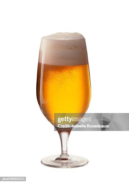 stemmed glass containing beer and foam, full length, white background - beer white background stock-fotos und bilder