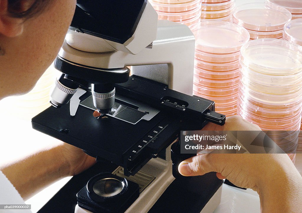 Person using microscope, close-up, stacks of petri dishes in background