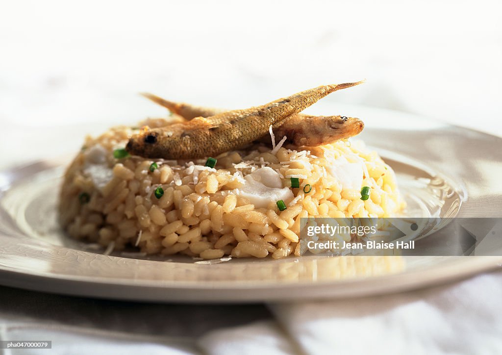 Risotto with whitebait, close-up