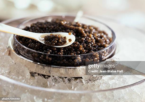 caviar in ice and on white spoon, close-up - roes stock pictures, royalty-free photos & images