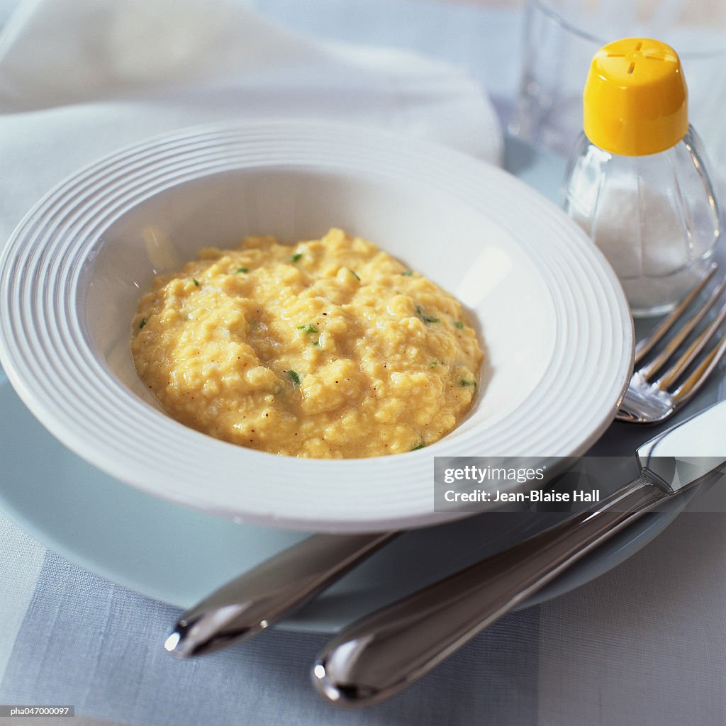 Bowl of risotto, silverware and salt shaker, close-up