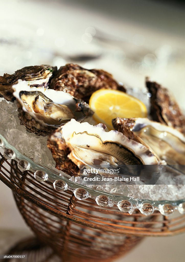 Oysters on ice, close-up