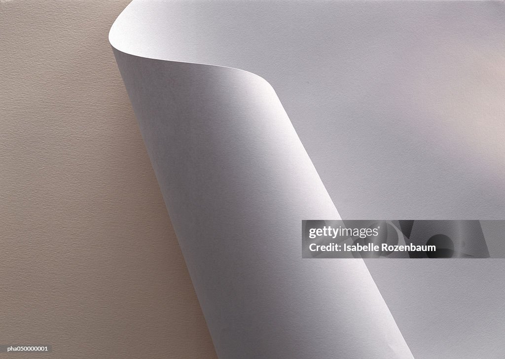 White paper, partially rolled up, close-up