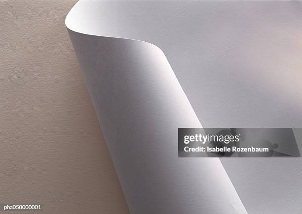 white paper, partially rolled up, close-up - paper roll stock pictures, royalty-free photos & images