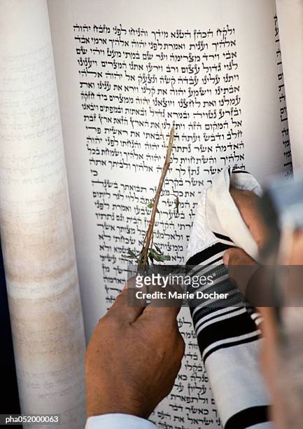 hand pointing twig at torah, close-up - jewish prayer shawl fotografías e imágenes de stock