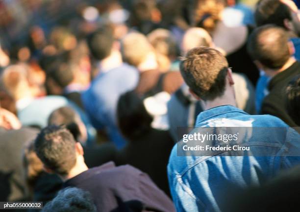 crowd, head and shoulders, rear view, blurred, tilt - ke ha performs on nbcs today annual thanksgiving week of concerts stockfoto's en -beelden