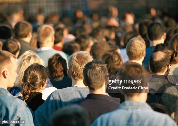 crowd, head and shoulders, rear view - crowd anticipation stock pictures, royalty-free photos & images