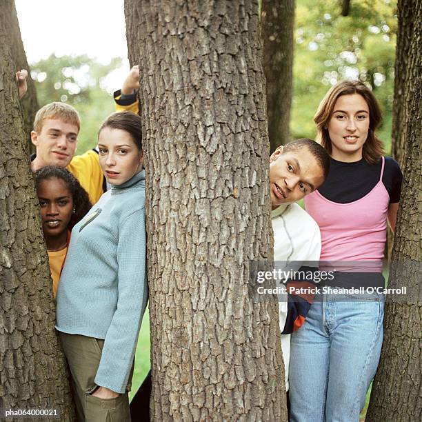 young people standing between tree trunks, close-up. - tree people stock-fotos und bilder