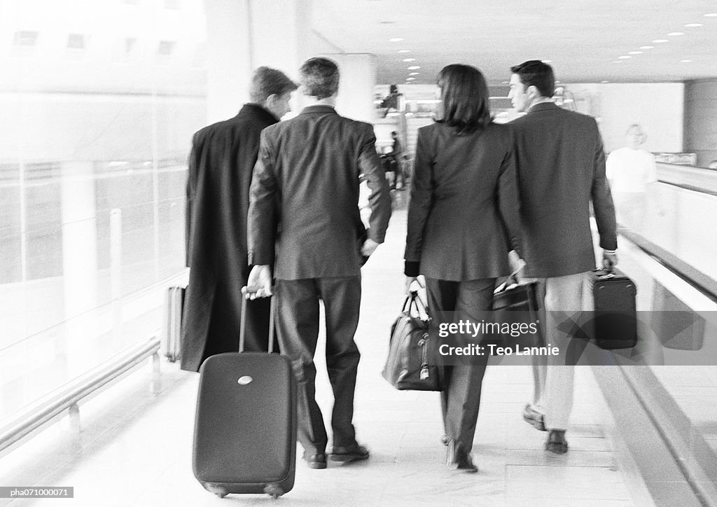 Group of business people walking through terminal, full length, rear view, b&w.