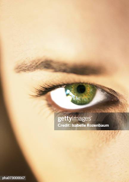 woman's green eye and eyebrow, extreme close up. - make up ストックフォトと画像