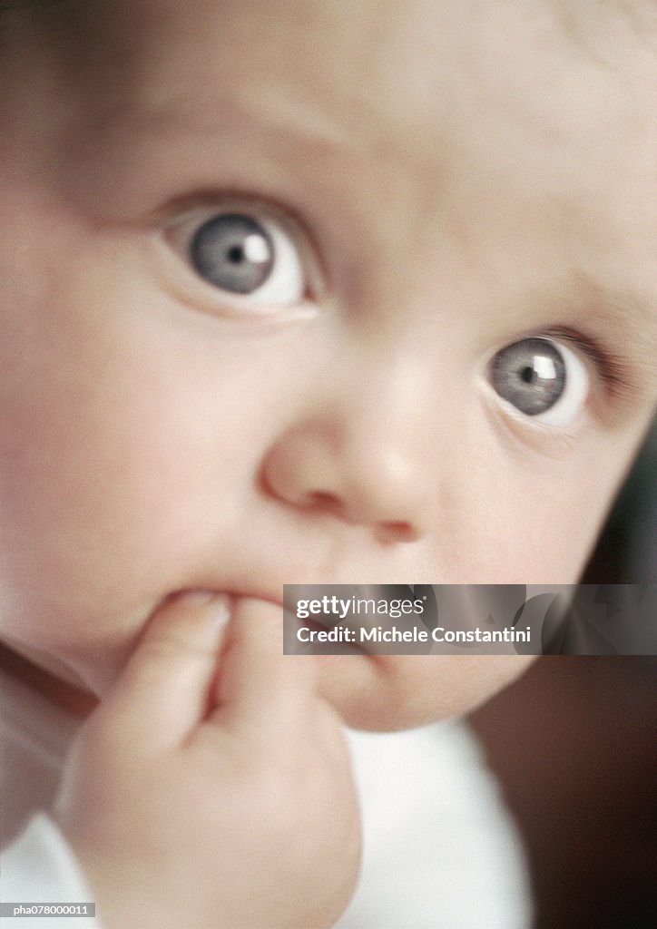 Baby looking at camera, fingers in mouth, close up.