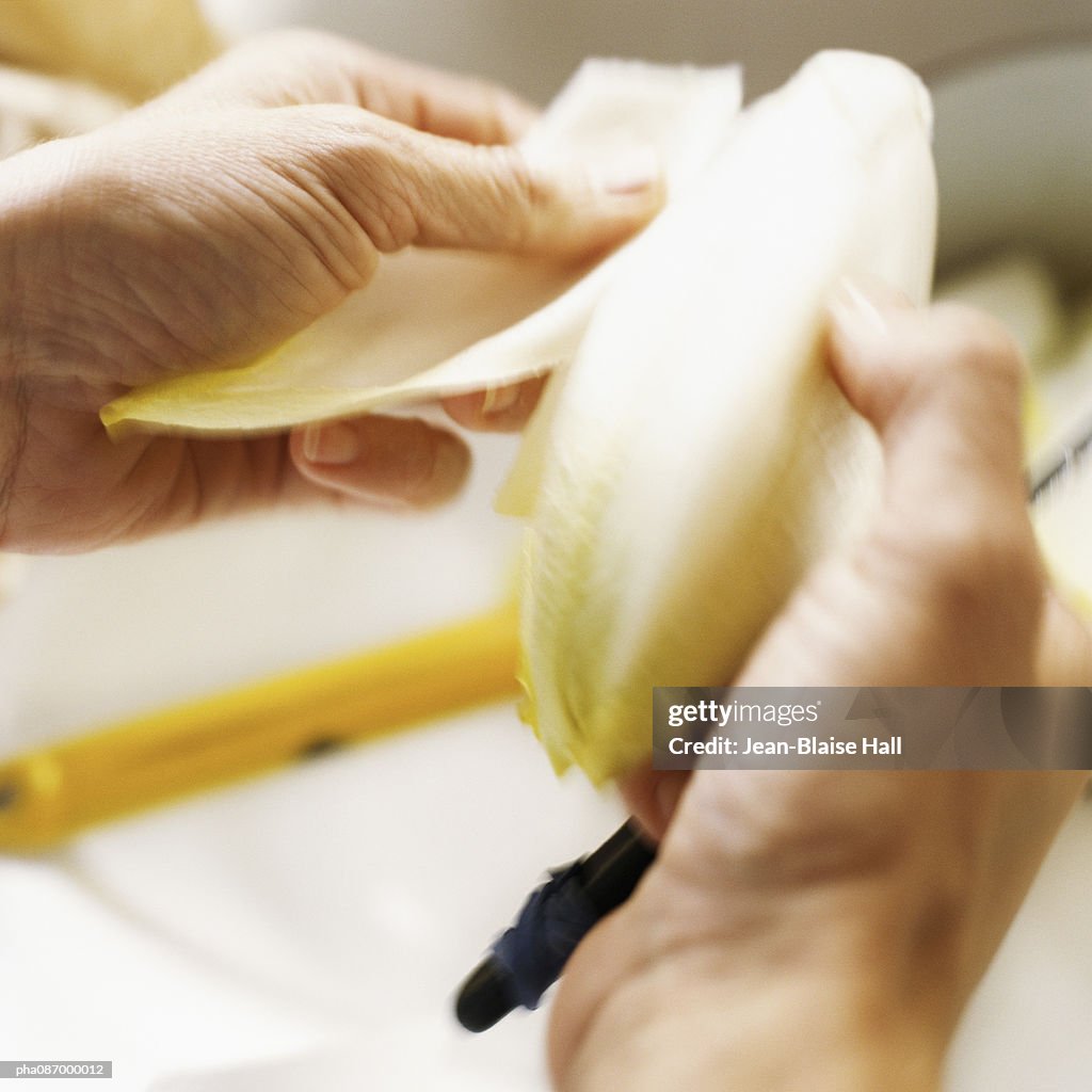 Close-up of hands pealing an endive.
