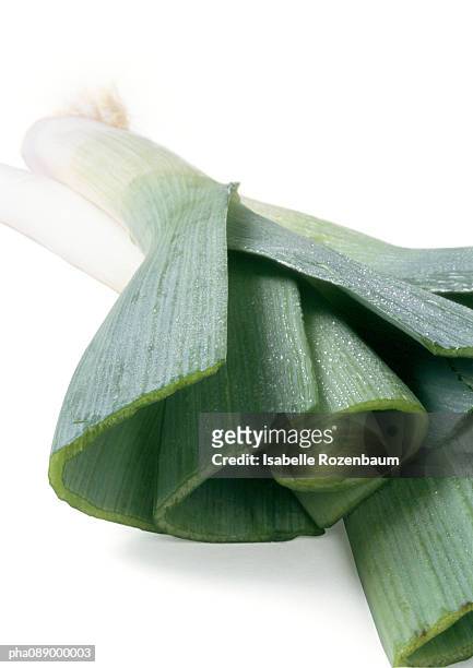 leek, front view, close-up - leek stock pictures, royalty-free photos & images