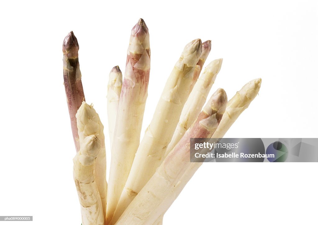 White asparagus tips, close-up