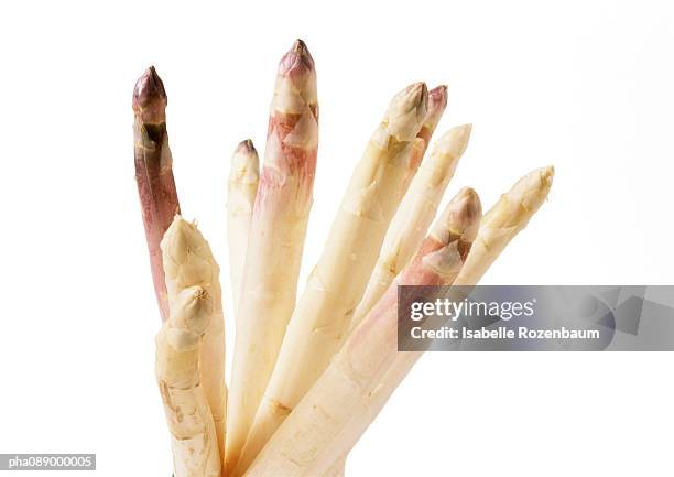 white asparagus tips, close-up - asparagus photos et images de collection