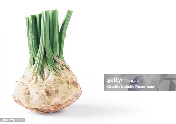 celery root with cut stalks - celeriac stock pictures, royalty-free photos & images