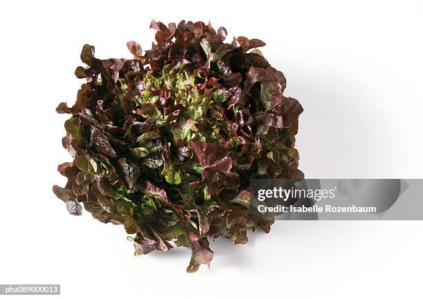head of red leaf lettuce, top view, close-up - leaf lettuce stockfoto's en -beelden