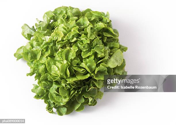 head of green leaf lettuce, top view - feuille de salade fond blanc photos et images de collection