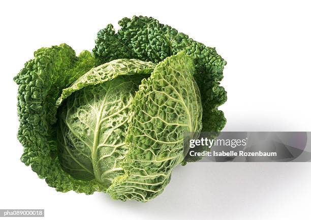 head of cabbage, close-up - col fotografías e imágenes de stock