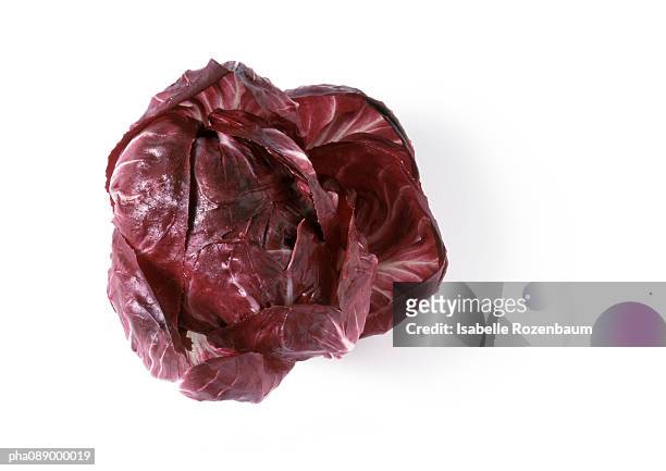 head of radicchio lettuce, top view - radicchio stockfoto's en -beelden
