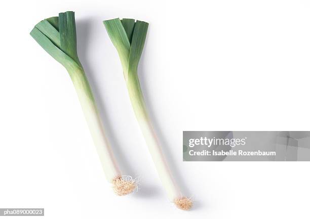 two leeks, full length - alho francês imagens e fotografias de stock