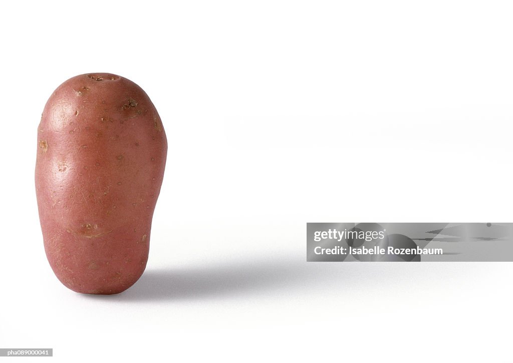 New potato standing upright, close-up