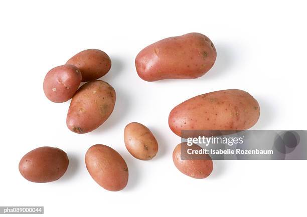 new potatoes. - raw new potato stock pictures, royalty-free photos & images